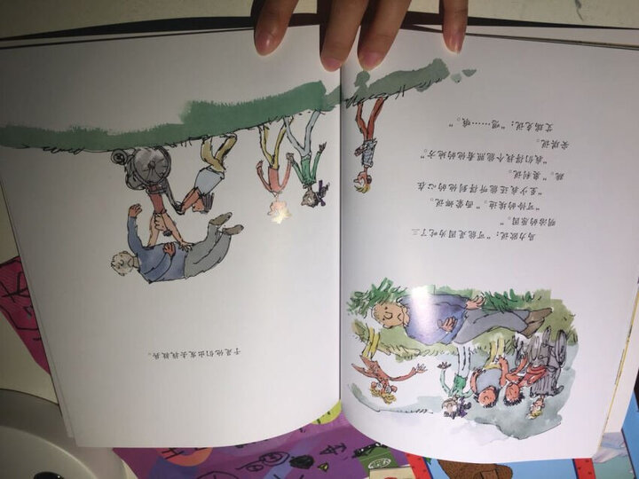 童立方·简·布雷特国际绘本大师经典系列绘本:灰姑娘小鸡+城里老鼠和乡下老鼠+猫头鹰和猫+手套+三只小蹄兔(套装共5册) 晒单图