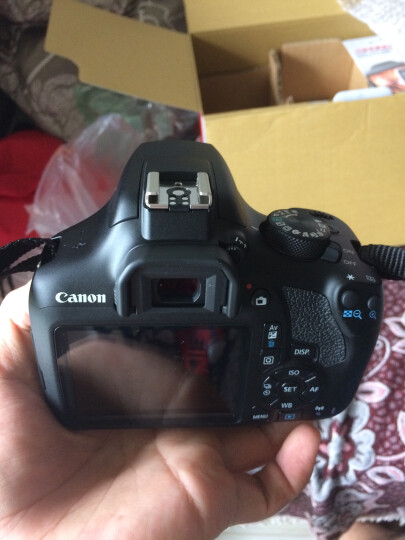 佳能（Canon）EOS 1300D（EF-S 18-55mm f/3.5-5.6 IS II） 晒单图