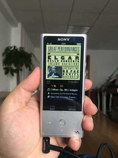 索尼(SONY)NW-ZX100 数码高端音频播放器 银