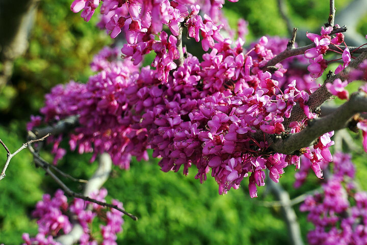 索尼(SONY) ILCE-6000L 标准单镜套装 银色--相