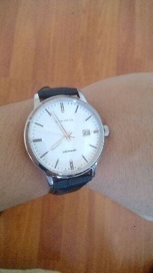 海鸥(SeaGull)手表 简约商务系列单历皮带背透