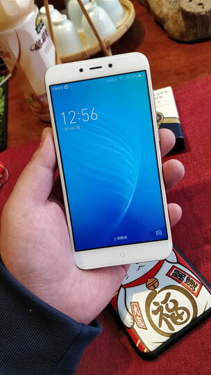 【音乐套装】360手机 N6 Lite 全网通 4GB+32GB 璀璨金 移动联通电信4G手机 双卡双待 晒单图