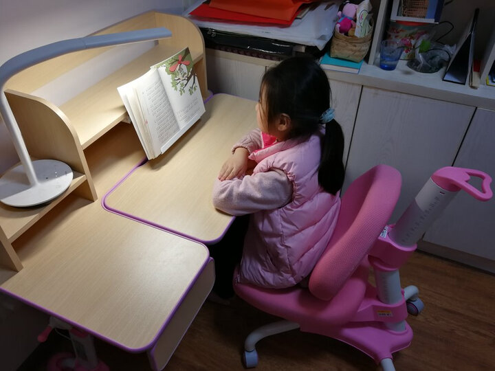 心家宜 儿童学习桌 学习桌 学生学习桌 可升降儿童书桌 学生课桌 写字桌 小孩课桌 王子蓝 105cm学习桌(单桌+双层书架) 晒单图