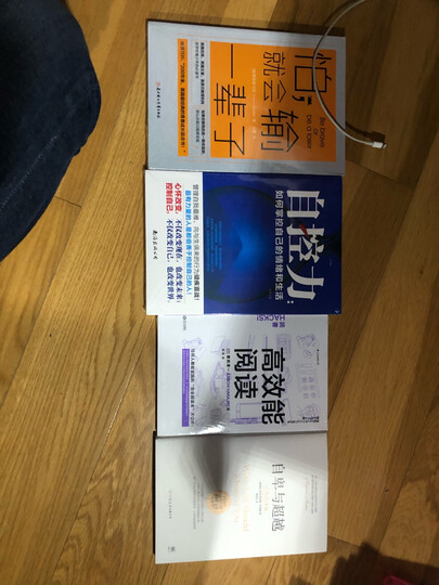 伯尼.桑德斯:白宫里的局外人 晒单图
