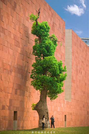 佳能(Canon) EF 70-200mm f/4L USM 远摄变焦镜头 70200小小白 晒单图