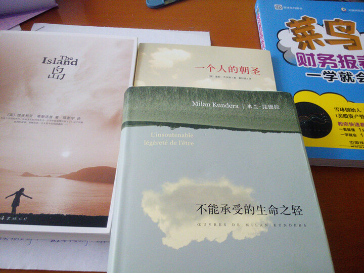 菜鸟看财务报表一学就会(全图解)--还不错,四本