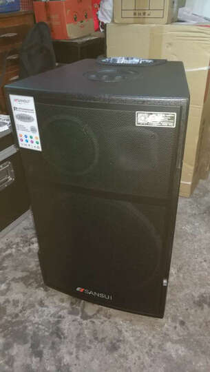 山水(SANSUI) SG3户外广场舞音响拉杆大功率移动三分频便携重低音蓝牙音箱客厅k歌带无线话筒 SG3-15英寸(下单送山水原装耳麦) 晒单图
