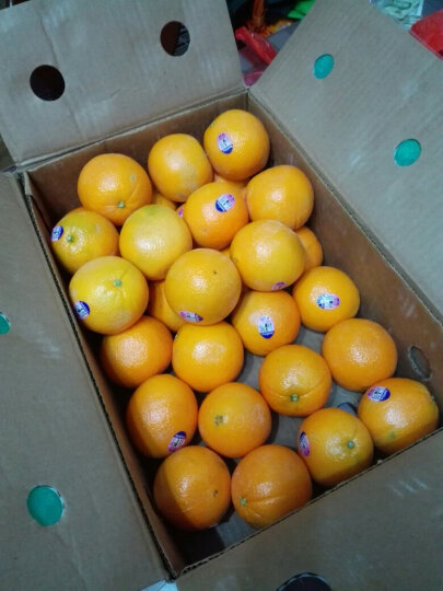 新奇士Sunkist 美国进口红心脐橙 原箱装 约9kg 新鲜水果礼盒 晒单图
