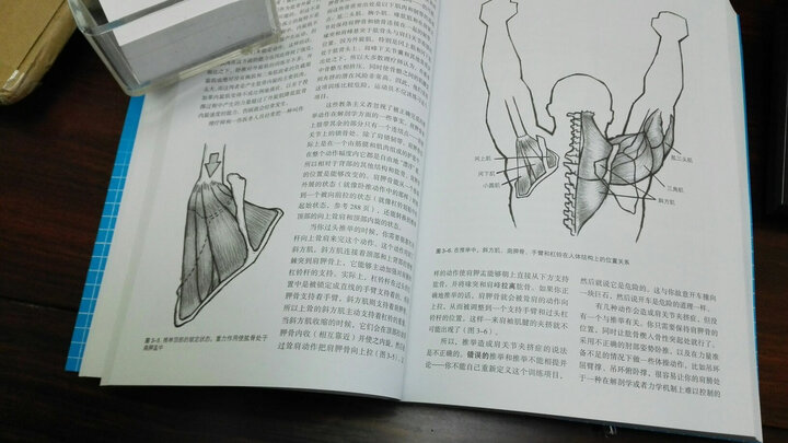 用5种杠铃动作极速发展身体实力:力量训练基础 晒单图