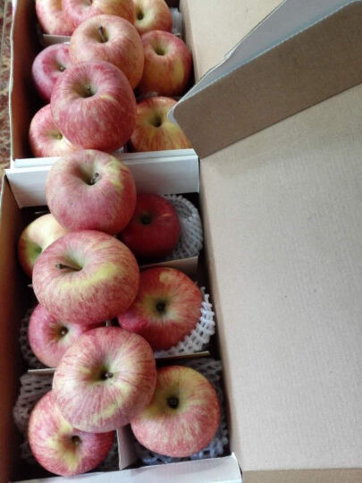 【果哒哒】陕西延安红富士苹果水果礼盒精品85mm 24枚   洛川红富士苹果线下同款苹果礼盒 晒单图