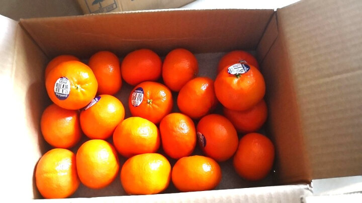 新奇士Sunkist 进口小柑橘 20个装 单果重约40-60g 新鲜水果 晒单图