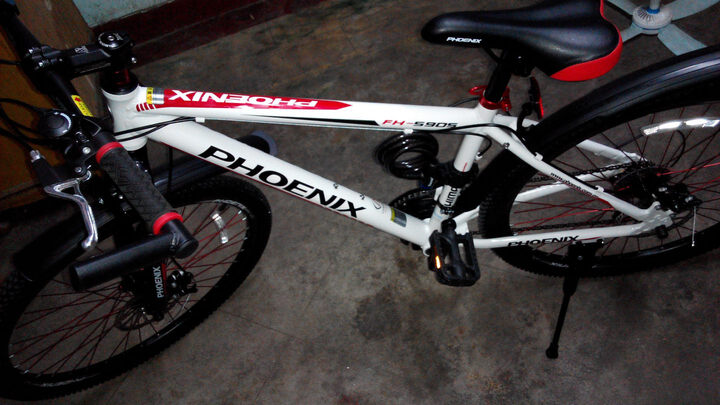 凤凰自行车跃途铝合金双碟刹21速山地车 风尚