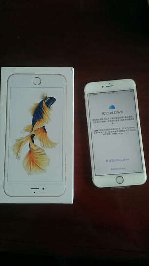 Apple iPhone 6s Plus (A1699) 64G 金色 移动联