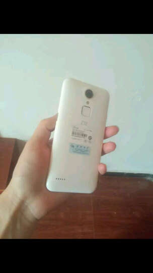 中兴 Blade A1(C880A) 16G 灵动白 全网通版 双