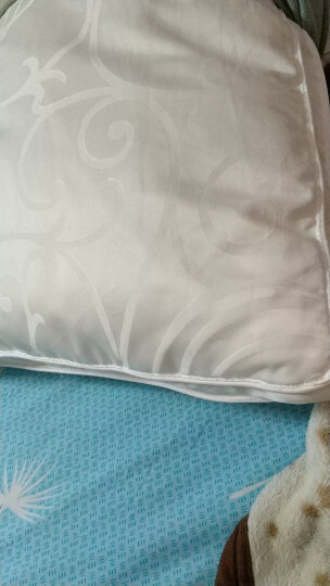 富安娜出品 圣之花 枕头 单人蚕丝软枕芯 成人颈椎丝棉枕头芯 提花面料 一个装 74*48cm 晒单图