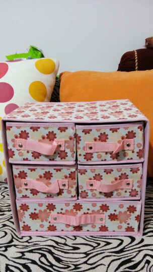 简纳 收纳盒文胸内衣收纳盒袜子内裤塑料收纳