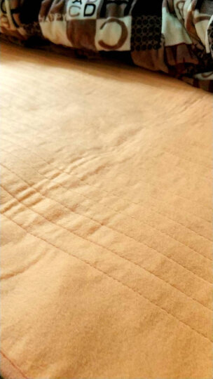 南极人（NANJIREN） 电热毯电褥子单人双人双控智能控温电热垫自动断电 单人(1.8*0.8米)60W【驼色无纺布】 晒单图