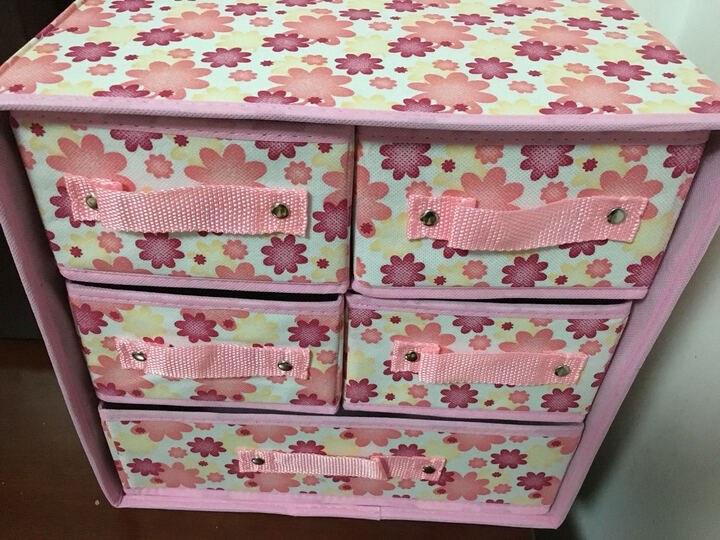 简纳 收纳盒文胸内衣收纳盒袜子内裤塑料收纳