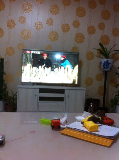 索尼(SONY)G9 48英寸全高清 LED液晶电视(K