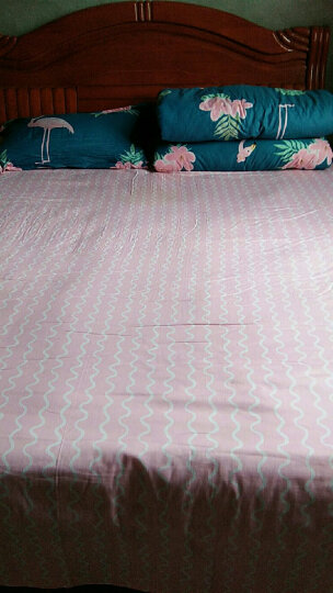 胜伟 套件家纺 全棉印花四件套 纯棉床单被罩 休闲条纹1.5/1.8米床通用 被套200*230cm 晒单图