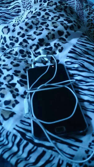 魅族(MEIZU)EP-21HD 原装耳塞式线控耳机 适