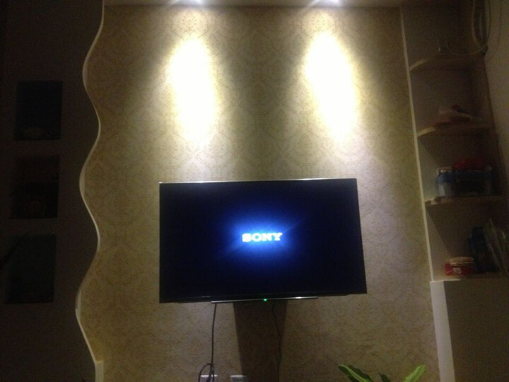 索尼(SONY) KDL-48R480B 48英寸全高清LED