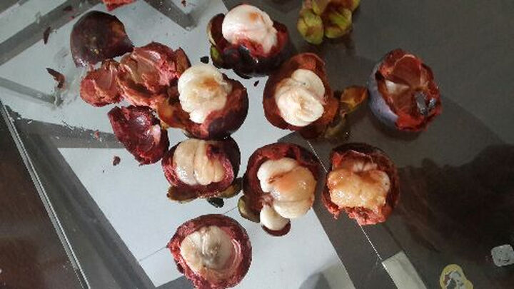 顺丰包邮!预售泰国山竹5斤--都烂的,只有二三个