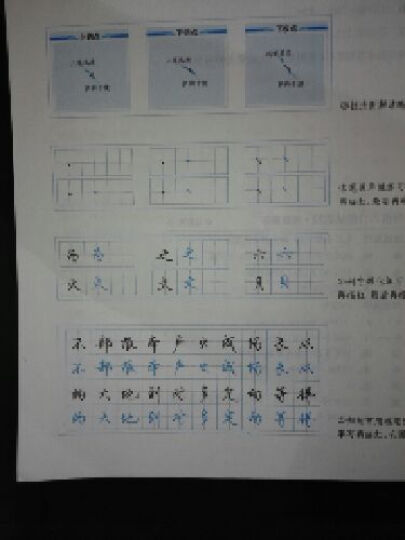 墨点字帖 行楷入门速成教程·笔画偏旁（硬笔行楷书基础练字钢笔字帖） 晒单图