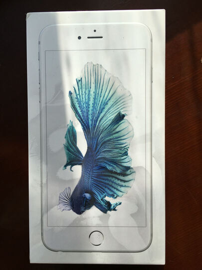 Apple iPhone 6s plus (A1699) 64G 银色 移动联