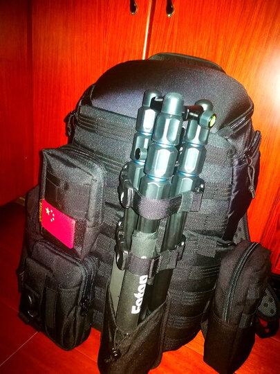 乐摄宝(Lowepro)相机包 PROTACTIC 350 AW 双肩PTT350AW摄影包金刚系列 黑色 LP36771-PWW 晒单图