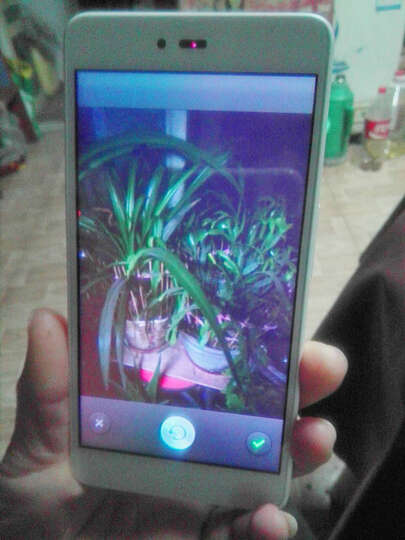 锤子 坚果 32GB 紫色 移动联通4G手机 双卡双