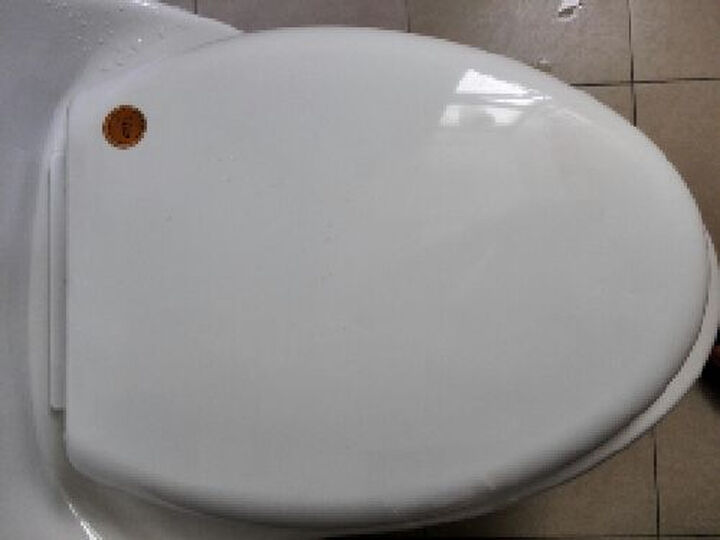 OJM欧吉美 防臭马桶盖板 抗压静音缓降 坐便器