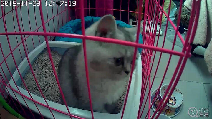 中兴(ZTE) 小兴看看Pro 1080P超清智能无线WiFi网络摄像头 手机监控IP Camera 云台360°无死角 晒单图