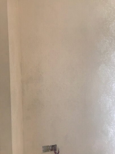 桐缘 墙布大马士革无缝壁布电视墙简欧式客厅卧室定制 TY6601米白色/平方 晒单图