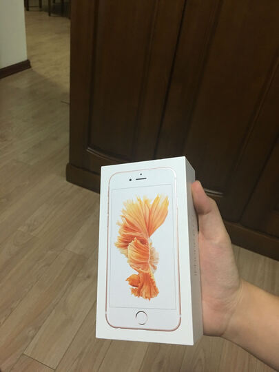 Apple iPhone 6s (A1700) 64G 玫瑰金色 移动联