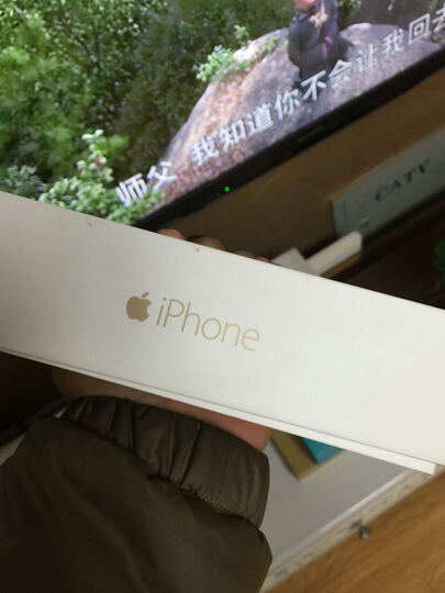 Apple iPhone 6 Plus (A1524) 64GB 金色 移动联