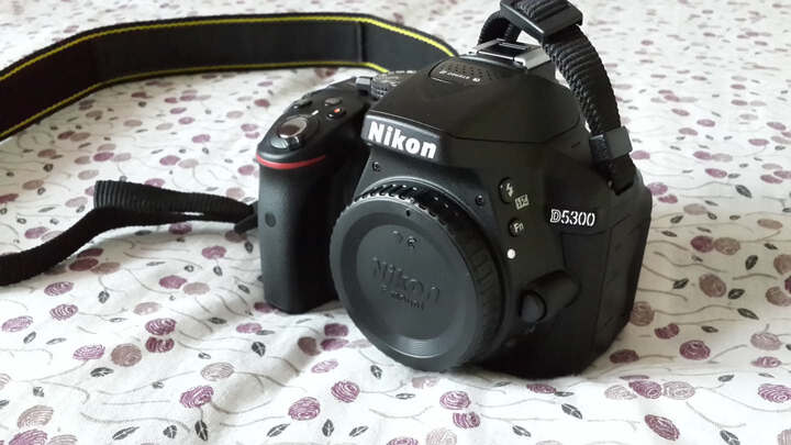 尼康(Nikon) D5300 单反套机(AF-S DX 18-55m