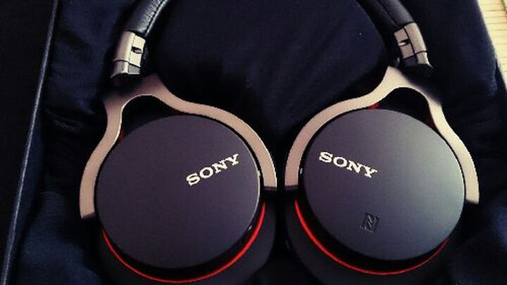 索尼(SONY) NWZ-WH303 一体型音乐播放器 4