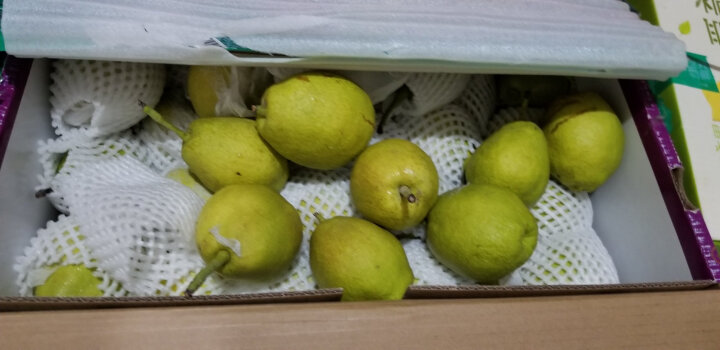 新疆库尔勒香梨 7kg 特级大果 新鲜水果 晒单图