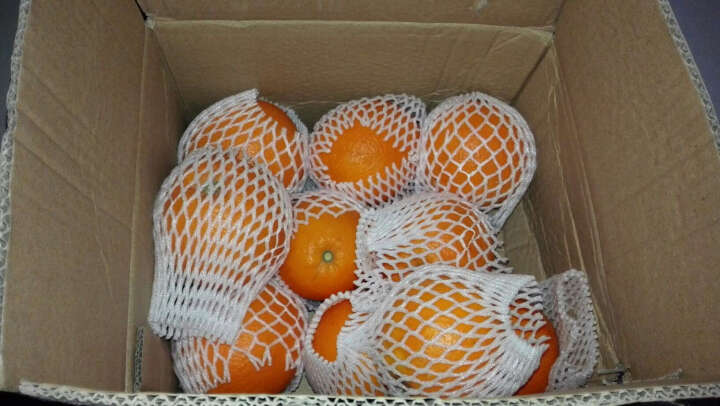秭归纽荷尔脐橙 新鲜水果发货中 特早橙子脐橙