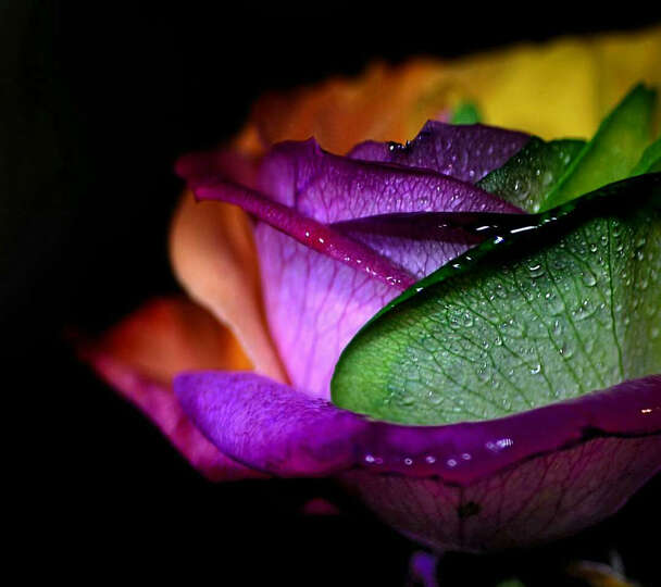 高清H.265硬解 腾讯视频 网络电视机顶盒 智能