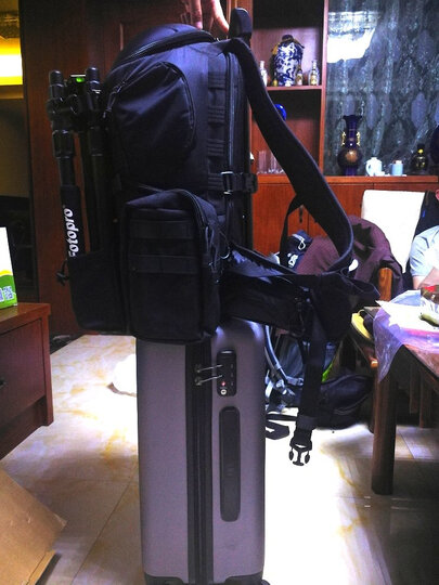 乐摄宝(Lowepro)相机包 PROTACTIC 350 AW 双肩PTT350AW摄影包金刚系列 黑色 LP36771-PWW 晒单图