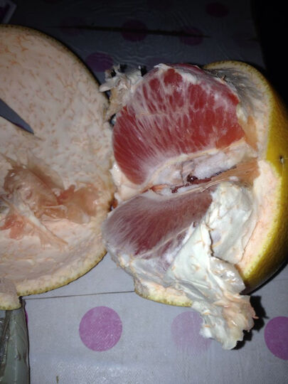 南非红西柚怎么样_南非红西柚多少钱_南非红