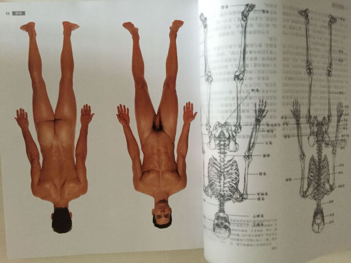 艺用人体解剖 晒单图
