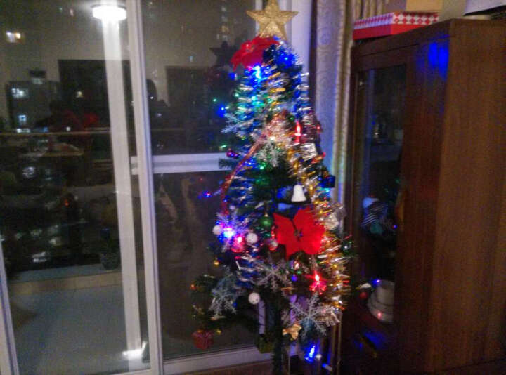 康 光纤彩灯加密枝头 装饰品套装套餐圣诞树 1