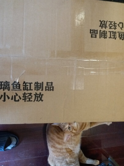 怡亲猫砂盆大号 全封闭式宠物猫厕所猫沙盆 蓝色 均码 晒单图
