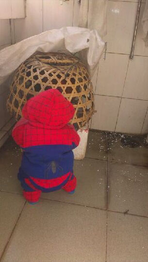 时光印记 童装男女小童冬装儿童卡通小熊卫衣