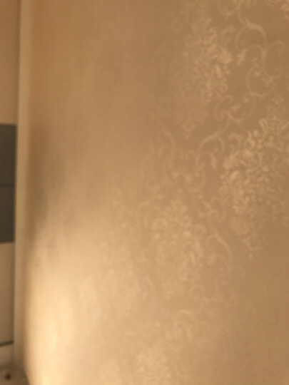 桐缘 墙布大马士革无缝壁布电视墙简欧式客厅卧室定制 TY6601米白色/平方 晒单图