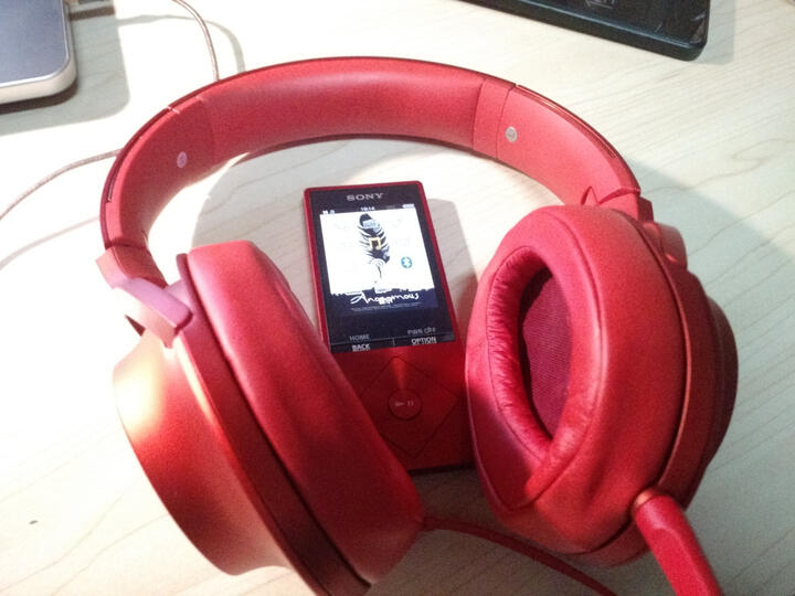 索尼(SONY)NW-A25 mp3无损音乐播放器 高清