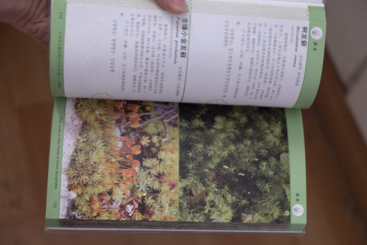 中国常见植物野外识别手册（苔藓册） 晒单图